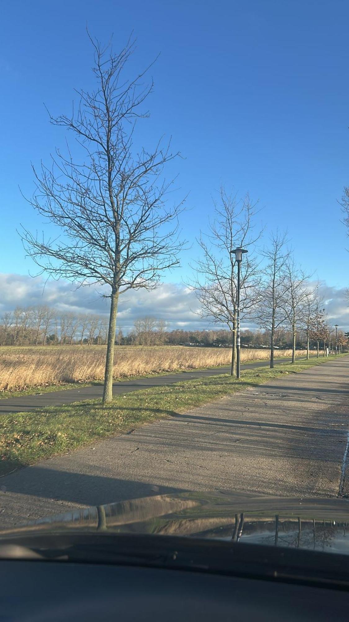 Einzelzimmer Mit Gemeinschaftsbad Pruchten Kültér fotó